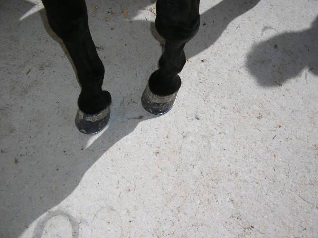 26mayo060131pu-1.jpg