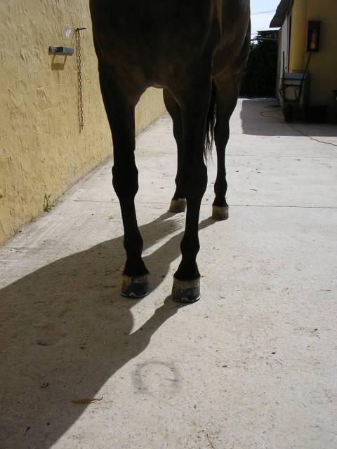 26mayo060180ty-1.jpg
