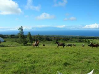 dscn00758tn-1.jpg