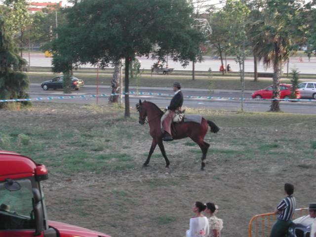dscn66262xu-1.jpg