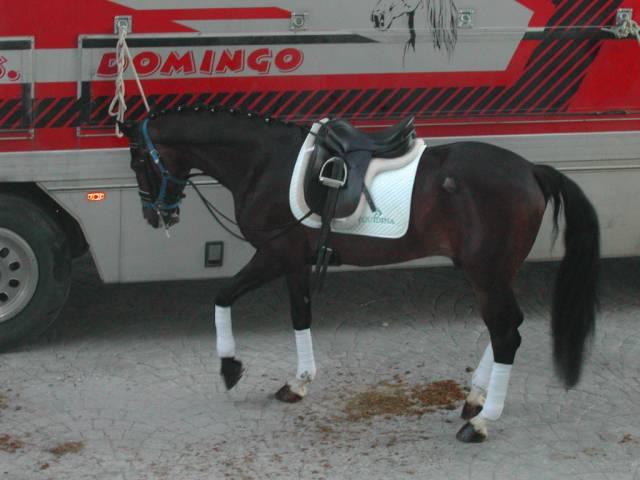 dscn66271cv-1.jpg