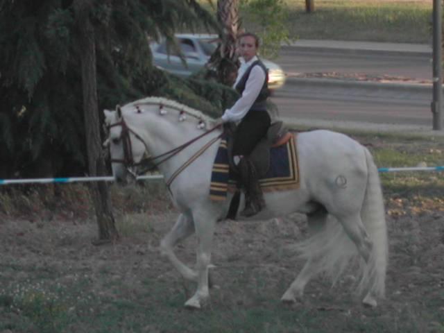 dscn66325yb-1.jpg