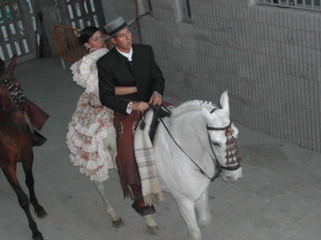 dscn66427ax-1.jpg