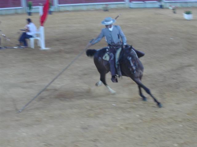 dscn66520jr-1.jpg
