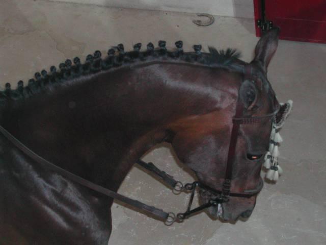 dscn66753yb-1.jpg