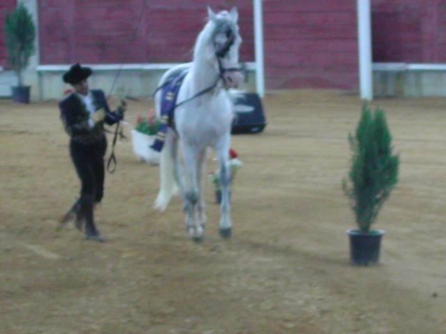 dscn66900ak-1.jpg
