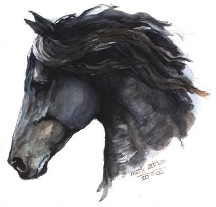 friesian19wl-1.jpg