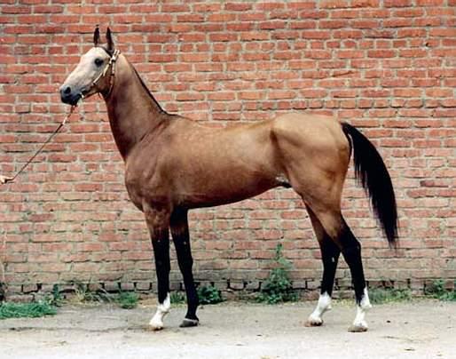 malpost0lb-1.jpg