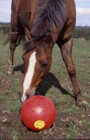 snakaball15cy-1.jpg
