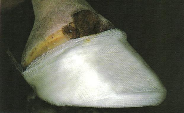 77ul-1.jpg