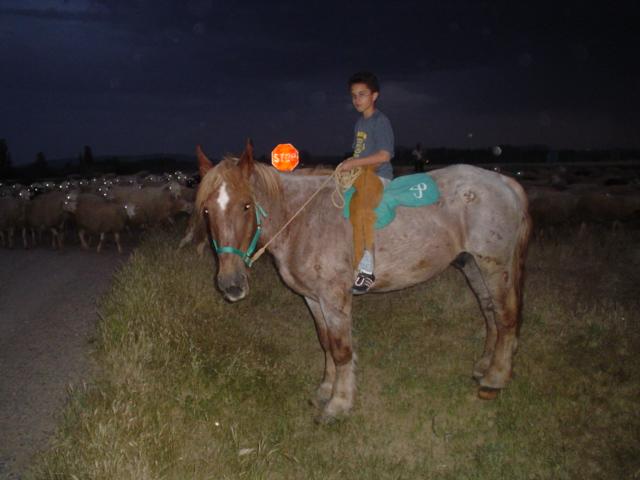 dsc028200ky-1.jpg