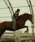 jumpingbareback7xn-1.jpg