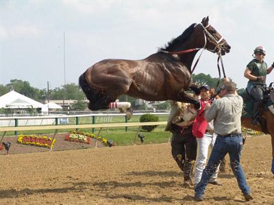 eclipse_photo_winner_2005-1.jpg
