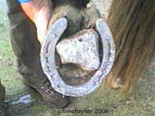 img060729110339np8-1.jpg