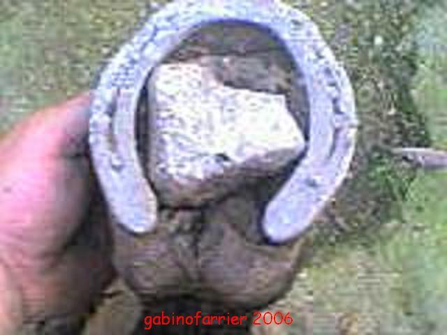 img0607291103no5-1.jpg
