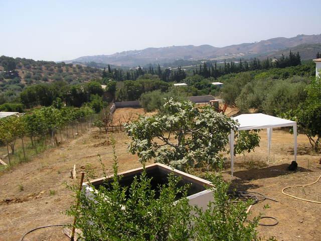 02agosto06025ti0-1.jpg