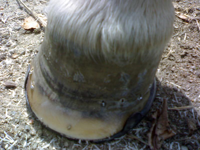 24082006013xd2-1.jpg