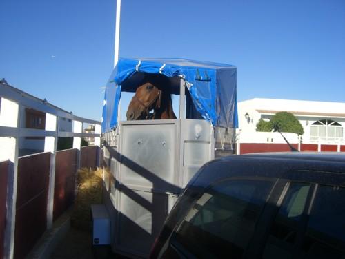 cimg1404zq7-1.jpg