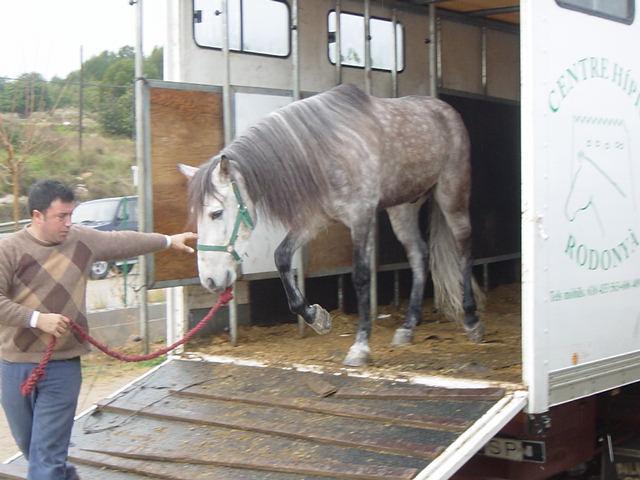 dsc00860jw1-1.jpg