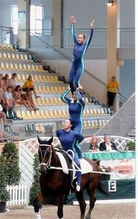 imagen2iw4-1.jpg
