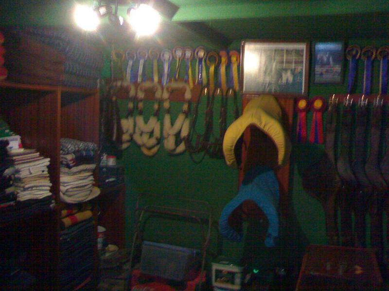 25092006061ck9-1.jpg
