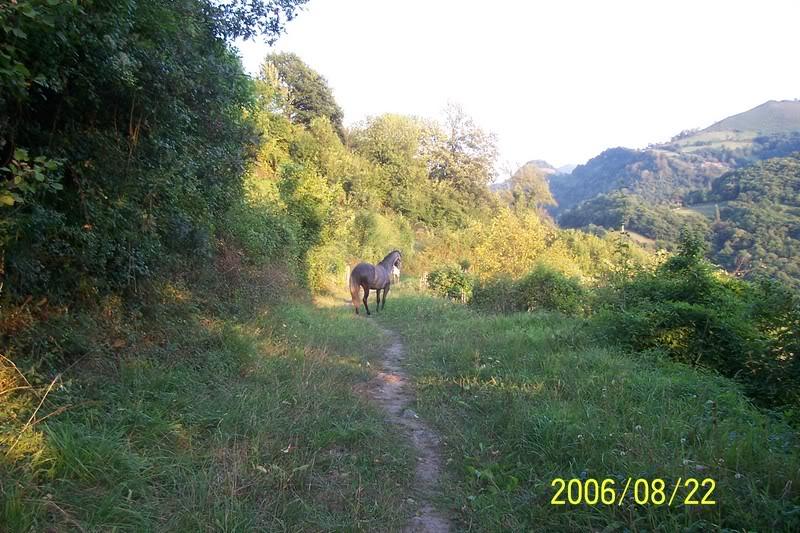 Imagen064-1.jpg