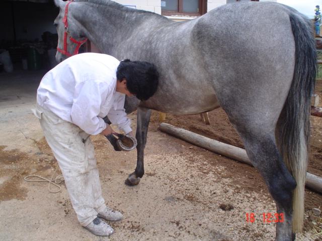 dsc03002tn6-1.jpg