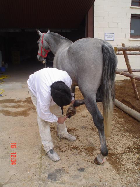 dsc03008pc5-1.jpg