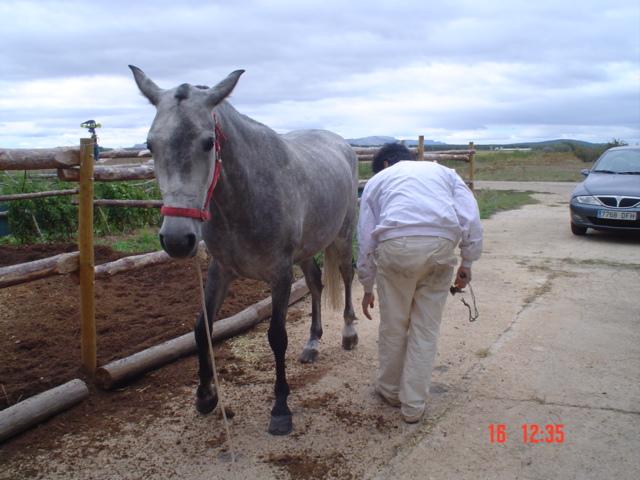 dsc03010ax2-1.jpg