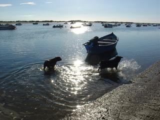 dsc05760iw6-1.jpg