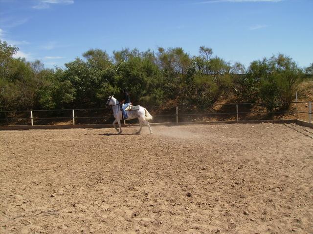 p6200012zg0-1.jpg