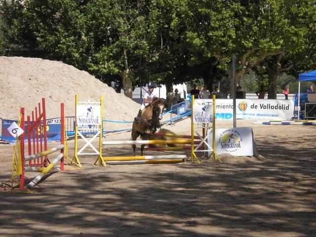 p9030419ku4-1.jpg