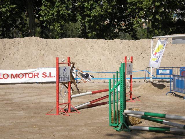 p9030421cd4-1.jpg