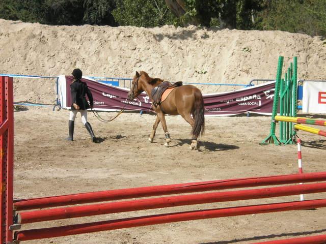 p9030426ag4-1.jpg