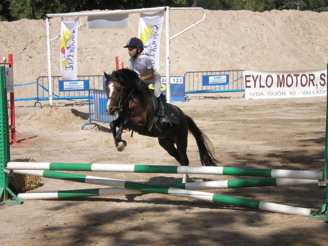 p9030441je8-1.jpg