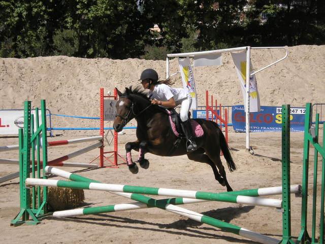 p9030471sf8-1.jpg