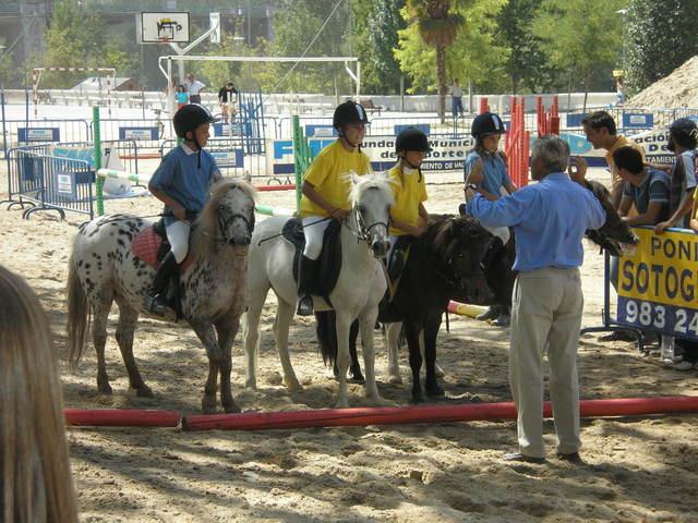 p9030476fp3-1.jpg