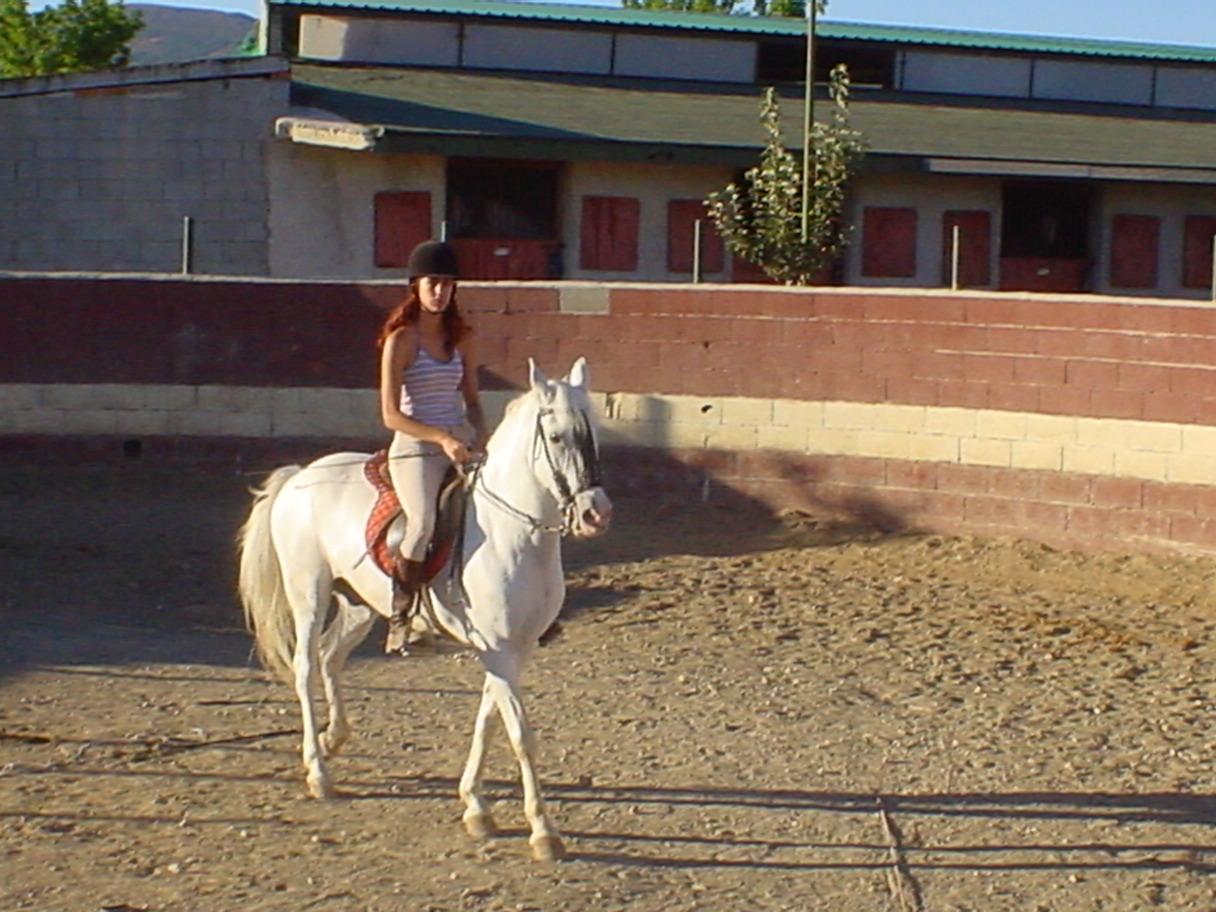 dsc04200tj1-1.jpg