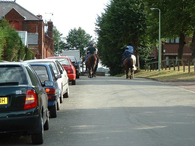 dscf0018it0-1.jpg