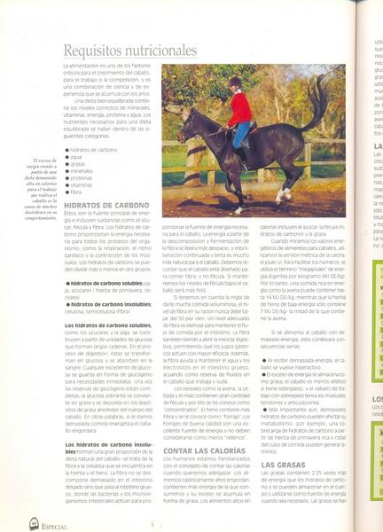 explorar0001mj1-1.jpg