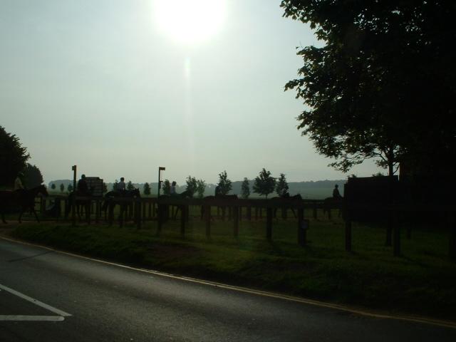 heath1qp1-1.jpg