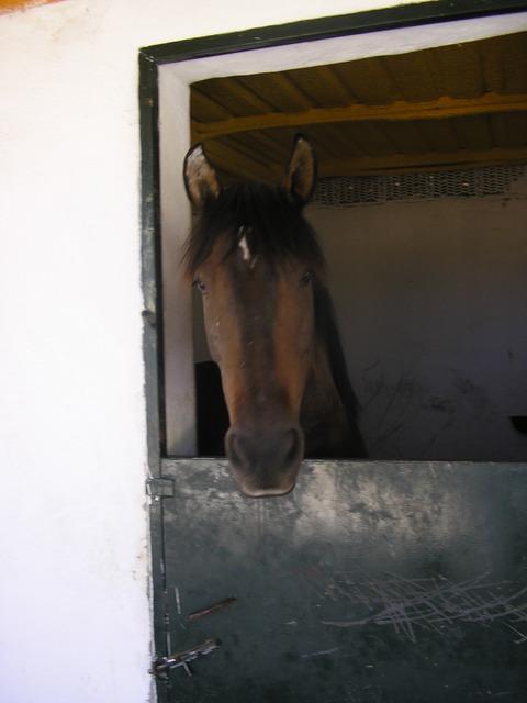 29deseptiembrede2006042gh7-1.jpg