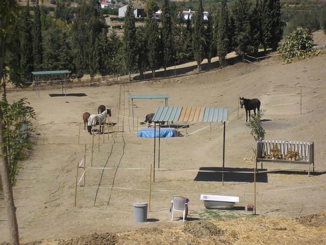 29deseptiembrede2006053bv9-1.jpg