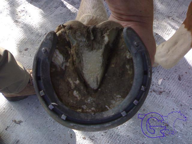 30092006078copiais6-1.jpg