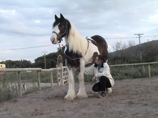 dsc00240db9-1.jpg