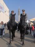 fotosmeves017ra9-1.jpg