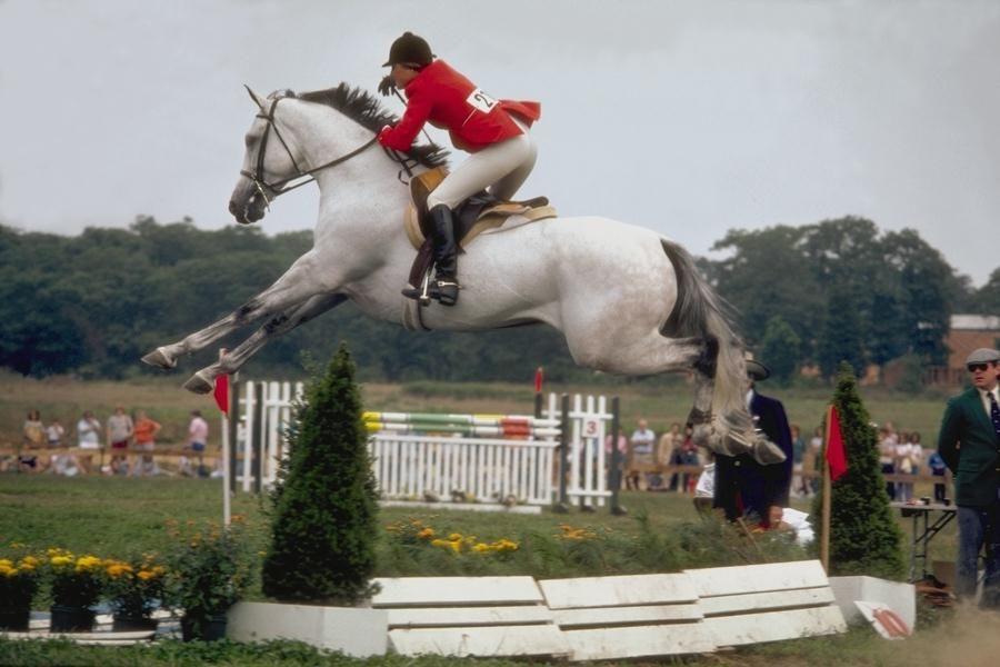 horse20jumping0275pyun5-1.jpg