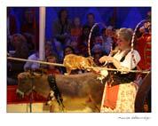 katjt4-1.jpg