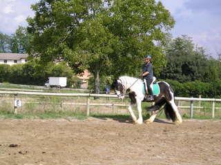 p1010254an4-1.jpg