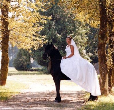 bridesu3-1.jpg